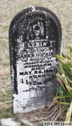 Lydia Johnson Hopkins