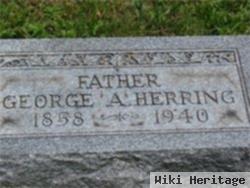 George Allen Herring