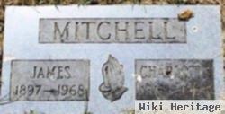 James J Mitchell