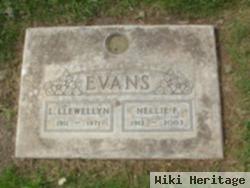 Nellie F Evans