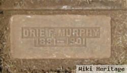 Orie F. Murphy