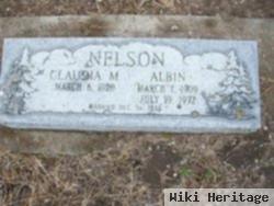 Albin Nelson