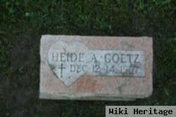 Heide Ann Goetz