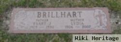 Evart J. Brillhart