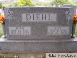 Guy W Diehl