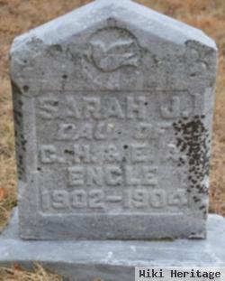 Sarah J Engle