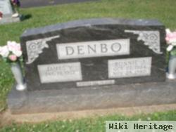 James Vernon Denbo