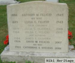 Catherine S. Stevens Felicio