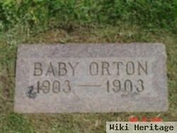 Baby Orton