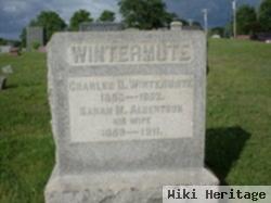 Charles Bowdewine Wintermute