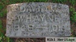 David M. Whayne