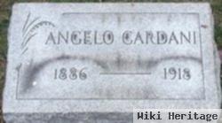 Angelo Cardani