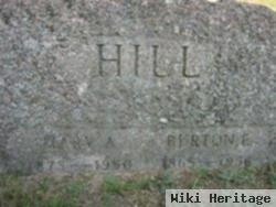 Mary A Hill