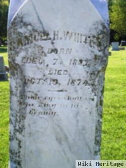 Samuel Horton Whitney