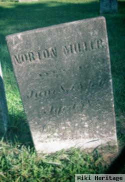 Norton Miller