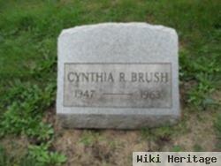 Cynthia R Brush