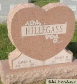 David N. Hillegass