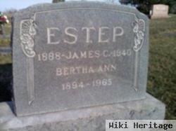 Bertha Ann Vernatt Estep