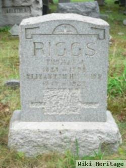 Thomas J. Riggs