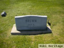 David W. Brumm