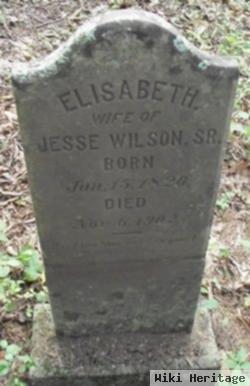 Elizabeth Strong Wilson