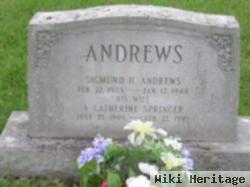 A Catherine Springer Andrews