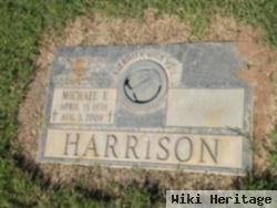 Michael E Harrison