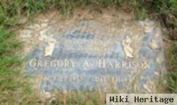 Gregory A Harrison