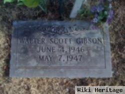 Walter Scott Gibson