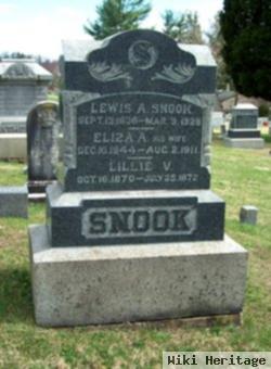 Eliza A. Pitzer Snook