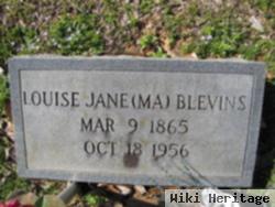 Louise Jane Blevins