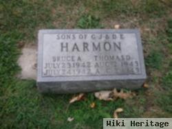 Thomas D Harmon