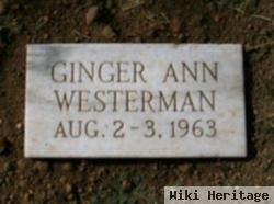 Ginger Ann Westerman