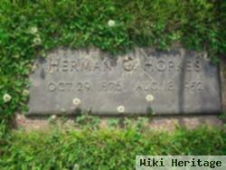 Herman G. Hopkes