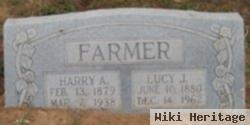 Lucy J Rabe Farmer