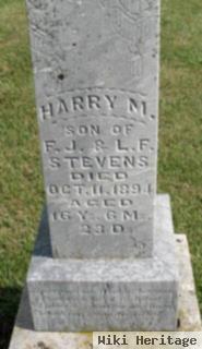 Harry M Stevens