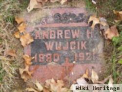 Andrew Henry Wujcik