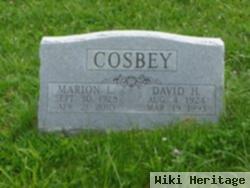 David H. Cosbey