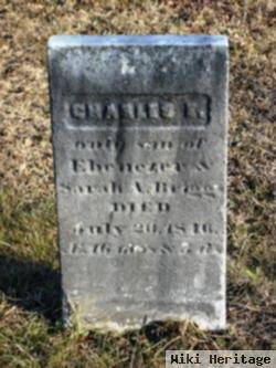 Charles E. Briggs