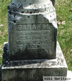 Sarah M Hake