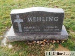 Richard Louis Mehling