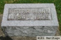 Peter C Hann