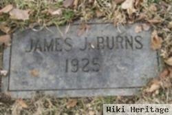 James J. Burns