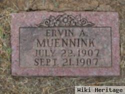Ervin A. Muennink