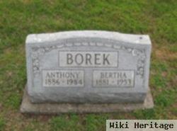 Bertha Borek