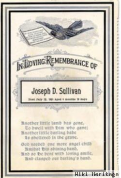 Joseph D Sullivan