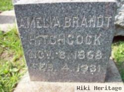 Amelia Brandt Hitchcock