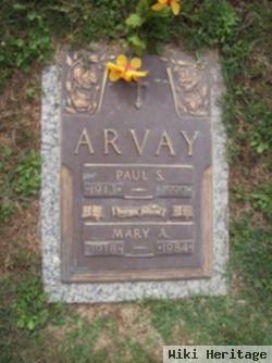 Paul S Arvay