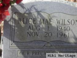 Alice Mae Wilson