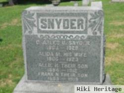 Alida M Johnson Snyder